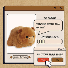 Spudsters Carmen Capybara Soft Toy - Aurora World LTD
