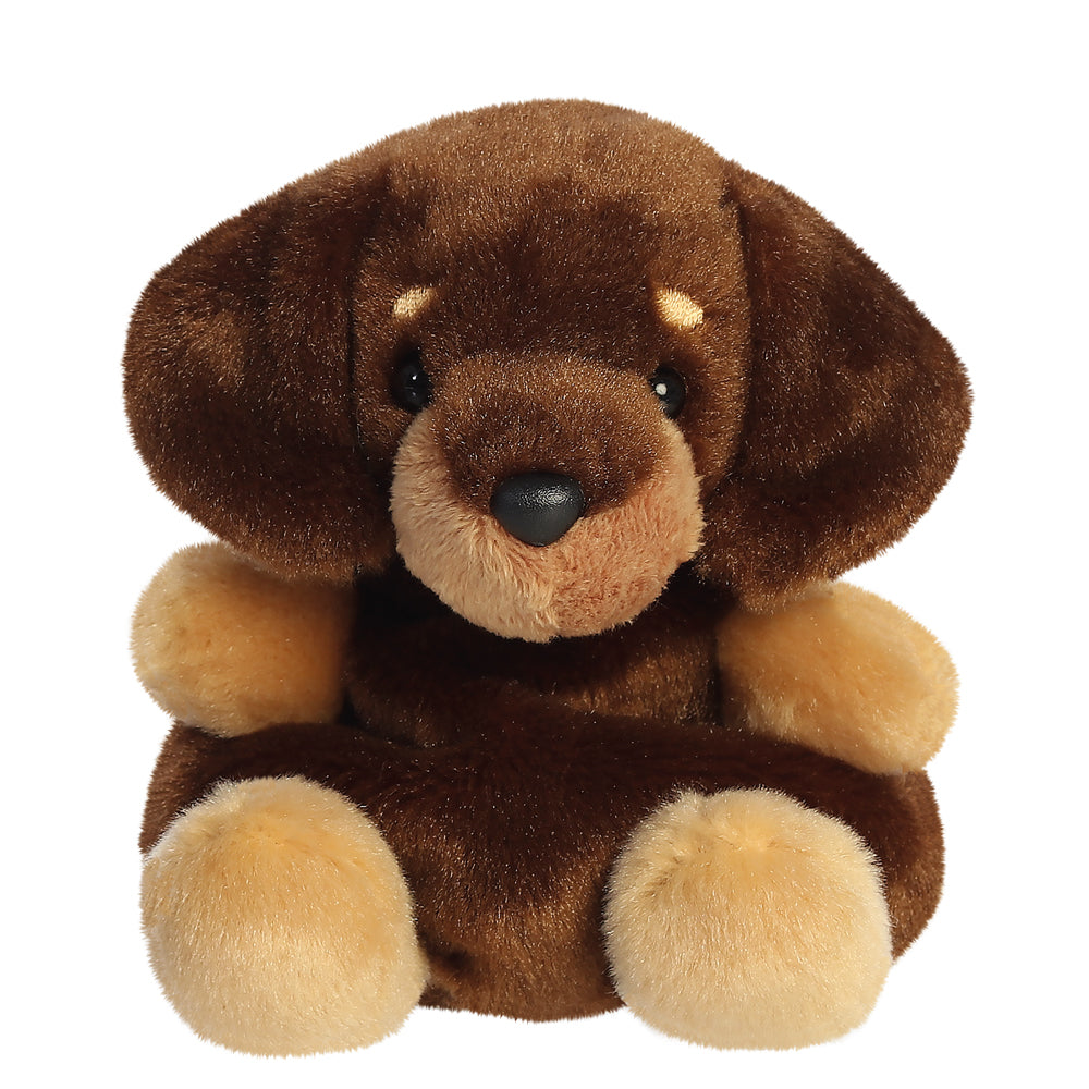 Palm Pals Houdini Dachshund-13cm-Collectable Soft Toy by Aurora World LTD