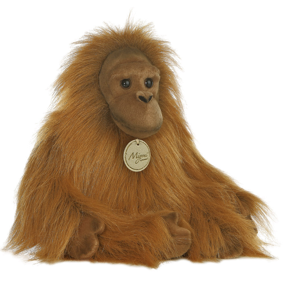 Aurora baby monkey discount