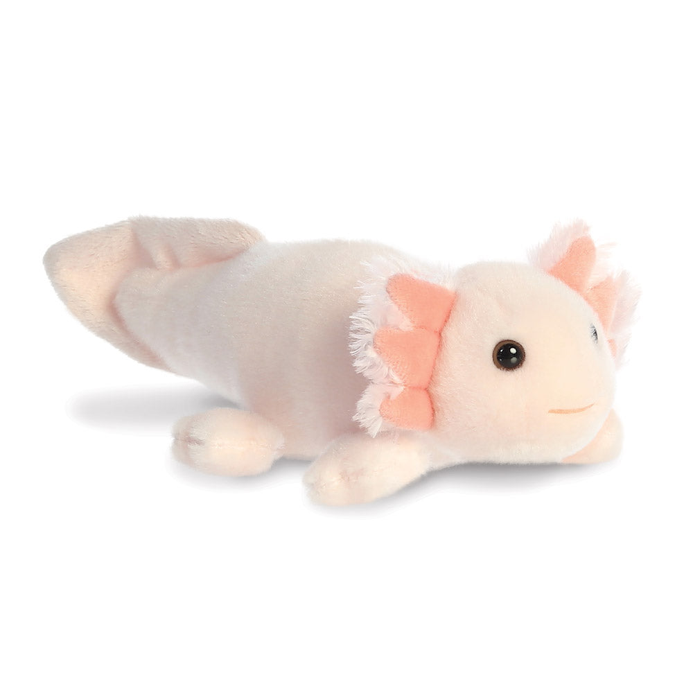 Axolotl teddy 2025