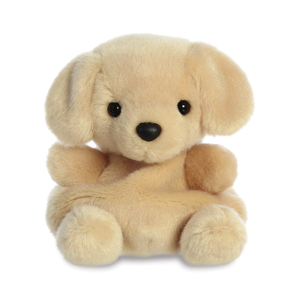 Little love puppy pal shop