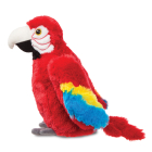 Muriel Scarlet Macaw Parrot